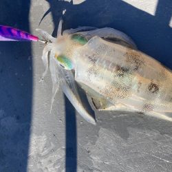 手漕ぎボートでティップラン