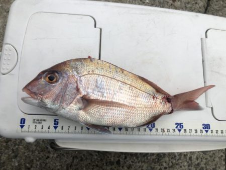 神谷荘さんで大波止へ