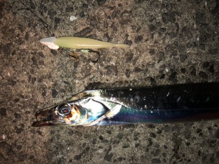 まだ終わらない