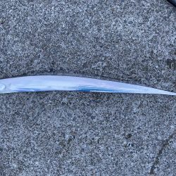 タチウオフィッシング