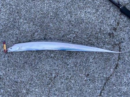 タチウオフィッシング