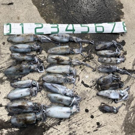 2020 佐渡ヶ島エギング 12回目