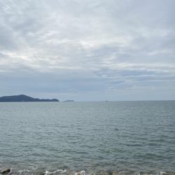 ピンギスばかり入れ食い