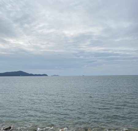 ピンギスばかり入れ食い