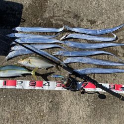 ショアジギング