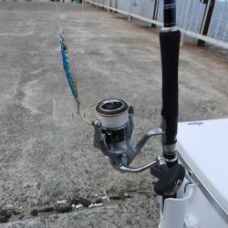 今年初青物！！