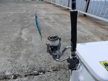 今年初青物！！