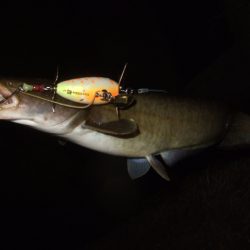 いよいよシーズン終盤の良い時期に