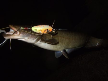 いよいよシーズン終盤の良い時期に