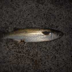 まだまだ夏ですね…。