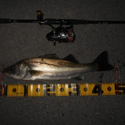 ソリッドクリアであっさりとヒット。