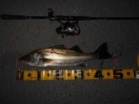 ソリッドクリアであっさりとヒット。