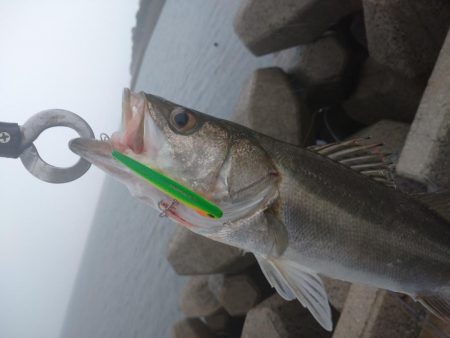 雨の中トップゲーム
