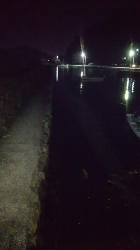 上げ潮狙いでエギング！