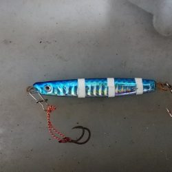 今週はもっと渋かった