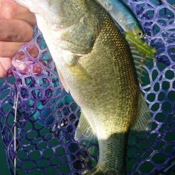 季節は秋！巻物のシーズン！！