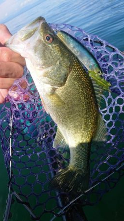 季節は秋！巻物のシーズン！！