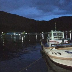 大雨に打たれて