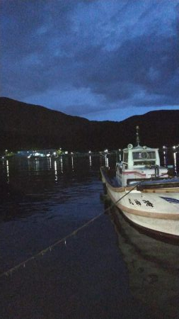 大雨に打たれて