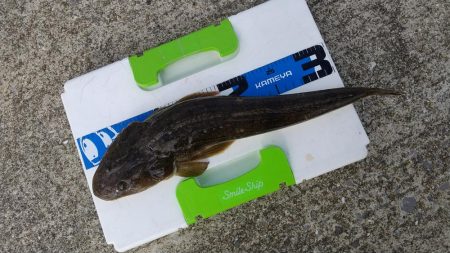 雨上がりの晴れ間に