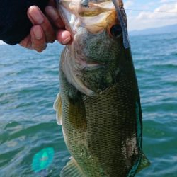 水温低下でシャローで爆発