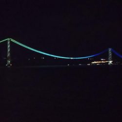 サバが続きます