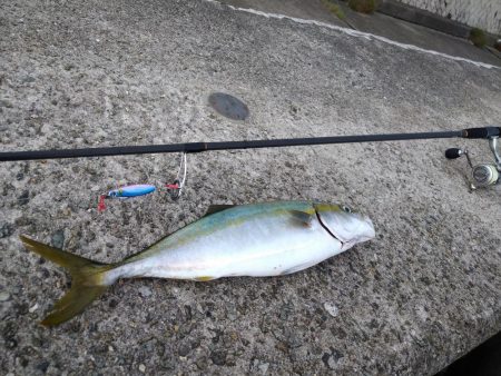 いつものパイセンとショアジギングへ。