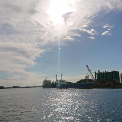 またしてもサバか