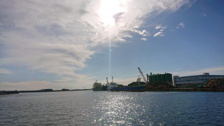 またしてもサバか