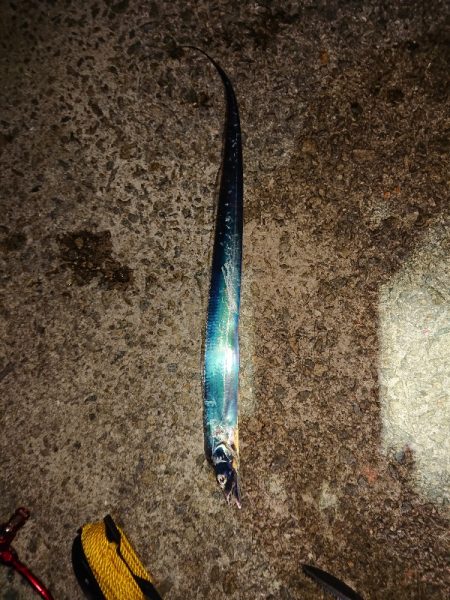 ショアジギング、太刀魚浮き