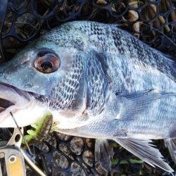 荒天の合間の濁りの中