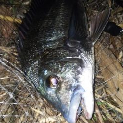 足下まで油断は禁物