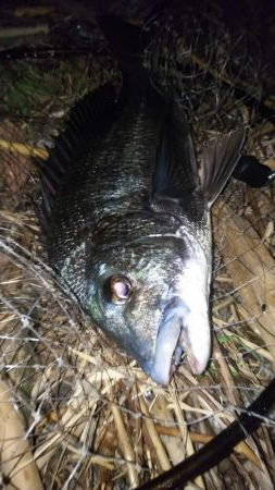 足下まで油断は禁物