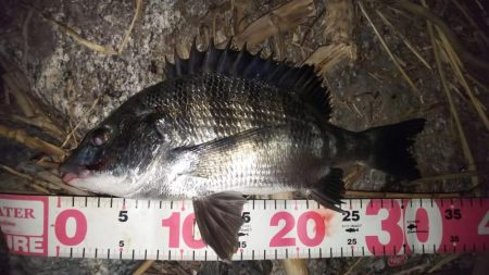 仲間をチニングに招待