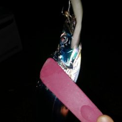 今期初遠征であいつを仕留めたった