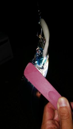 今期初遠征であいつを仕留めたった