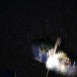 タチウオ調査でやっとタチウオ