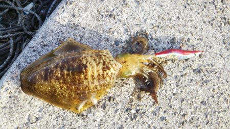 当たりは多いねんけどなぁ