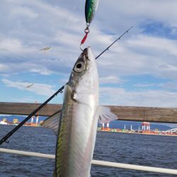 ぶら朝コスモ!!