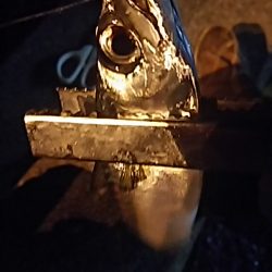 たちうおエサなくなるまで釣れる