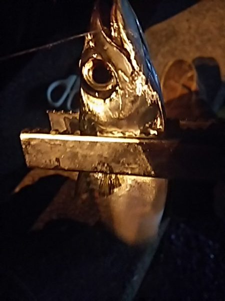 たちうおエサなくなるまで釣れる