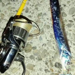 タチウオちょっと渋いです