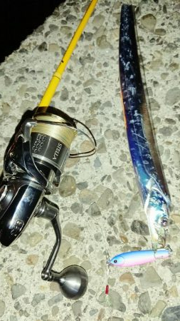 タチウオちょっと渋いです