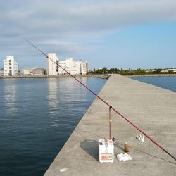 東二見白灯台波止へキス調査