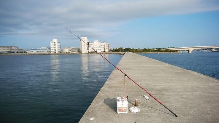 東二見白灯台波止へキス調査