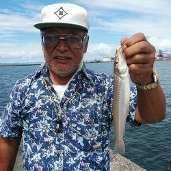 今日も釣友と播磨新島へ連投