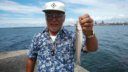 今日も釣友と播磨新島へ連投