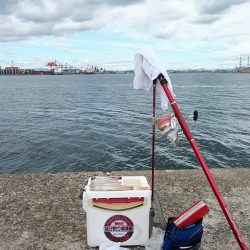 播磨新島へ３連投