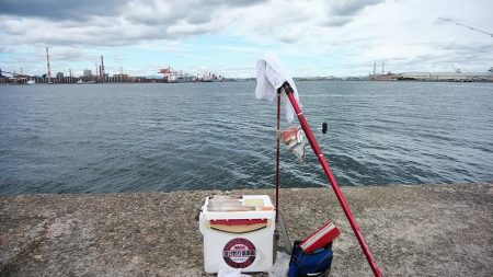 播磨新島へ３連投