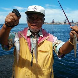 播磨新島へ４連投